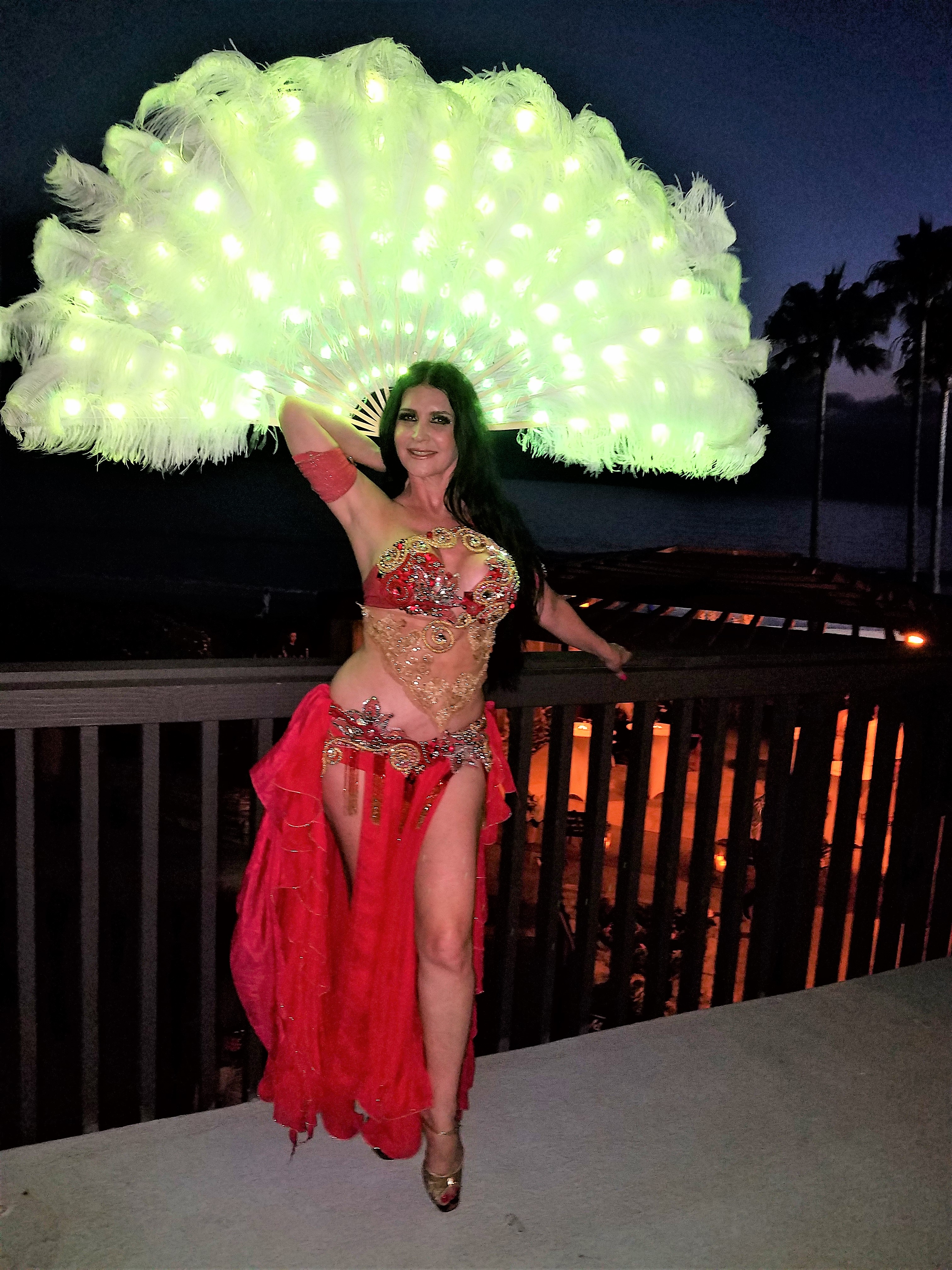 LED Feathers Fan