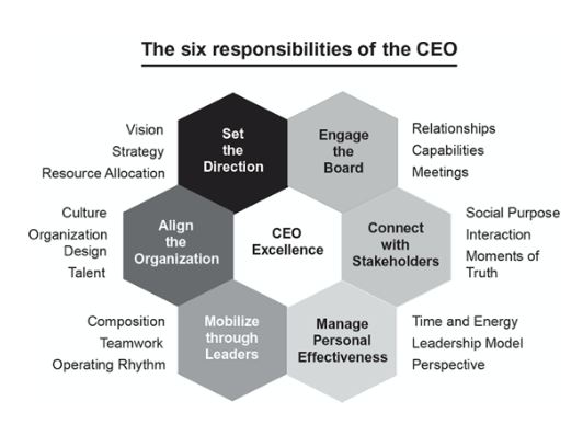 Figura responsabilităților CEOs conform autorilor "CEO Excellence"