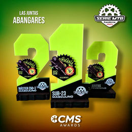 Trofeo Personalizado CMS Awards