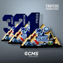Trofeo Personalizado CMS Awards