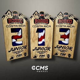 Trofeo Personalizado CMS Awards