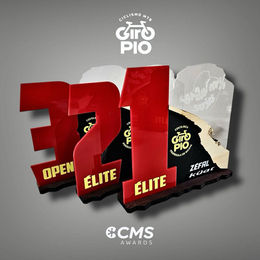 Trofeo Personalizado CMS Awards