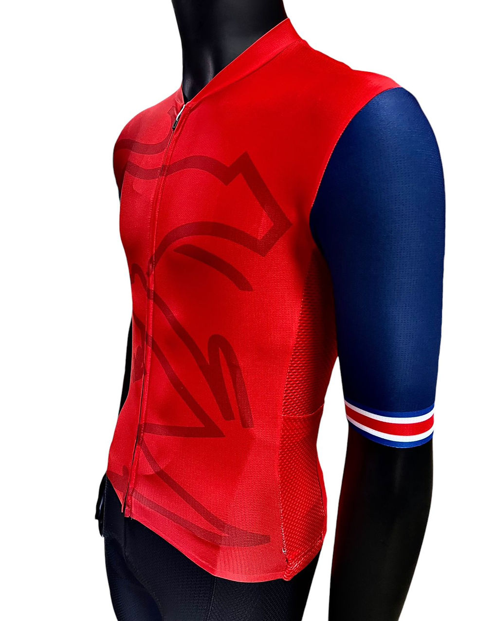 Miniatura: Jersey Costa Rica 2024 Rojo y Azul Manga Corta Semipro Hombre 12617