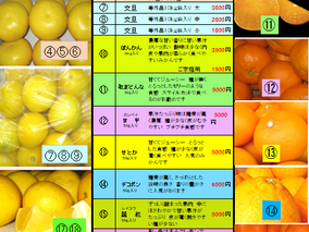 2026　お元気ですか