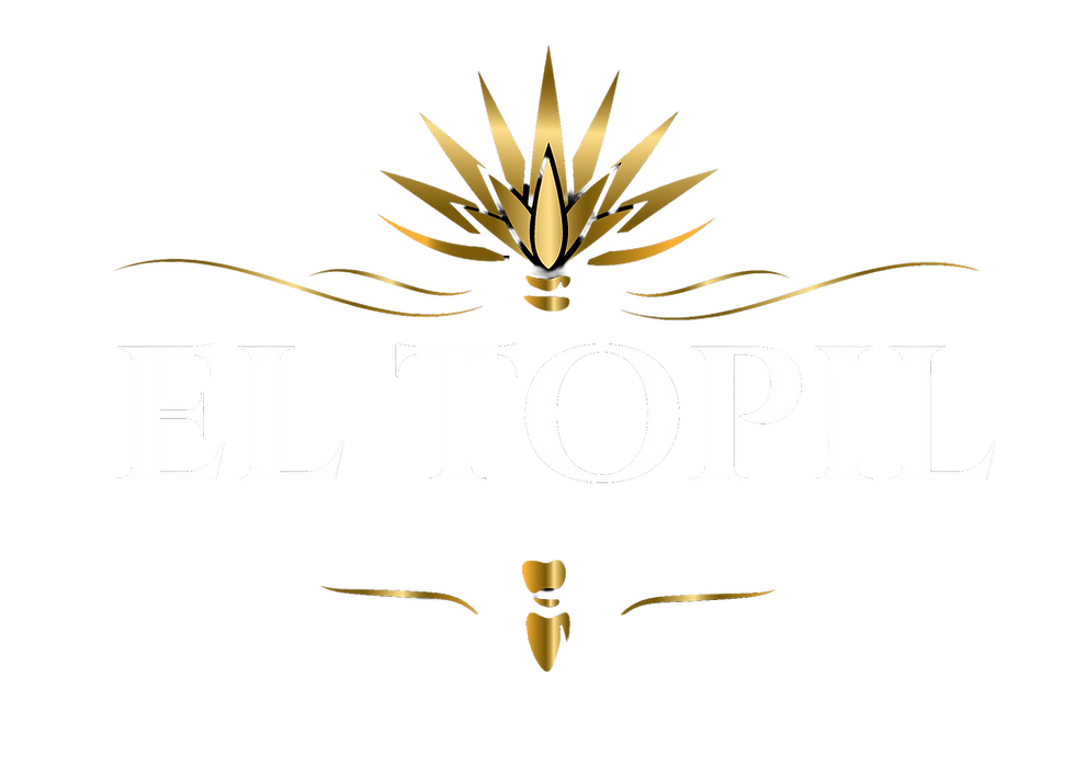 LOGO TOPIL FINAL_.png