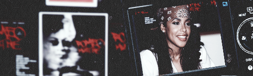 tumblr_ms245zR1L81s4wo3so1_500.gif