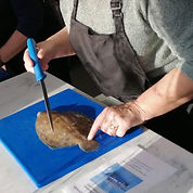 filleting.jpg
