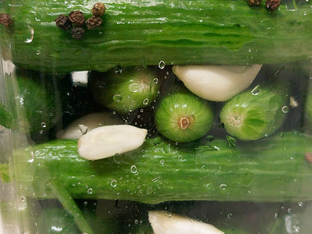 מלפפון חמוץ