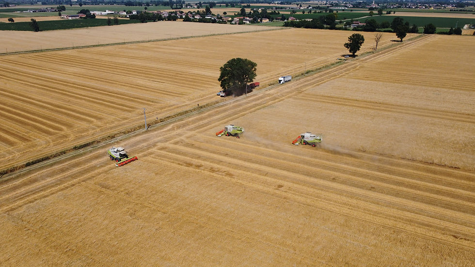 DJI_0662.JPG