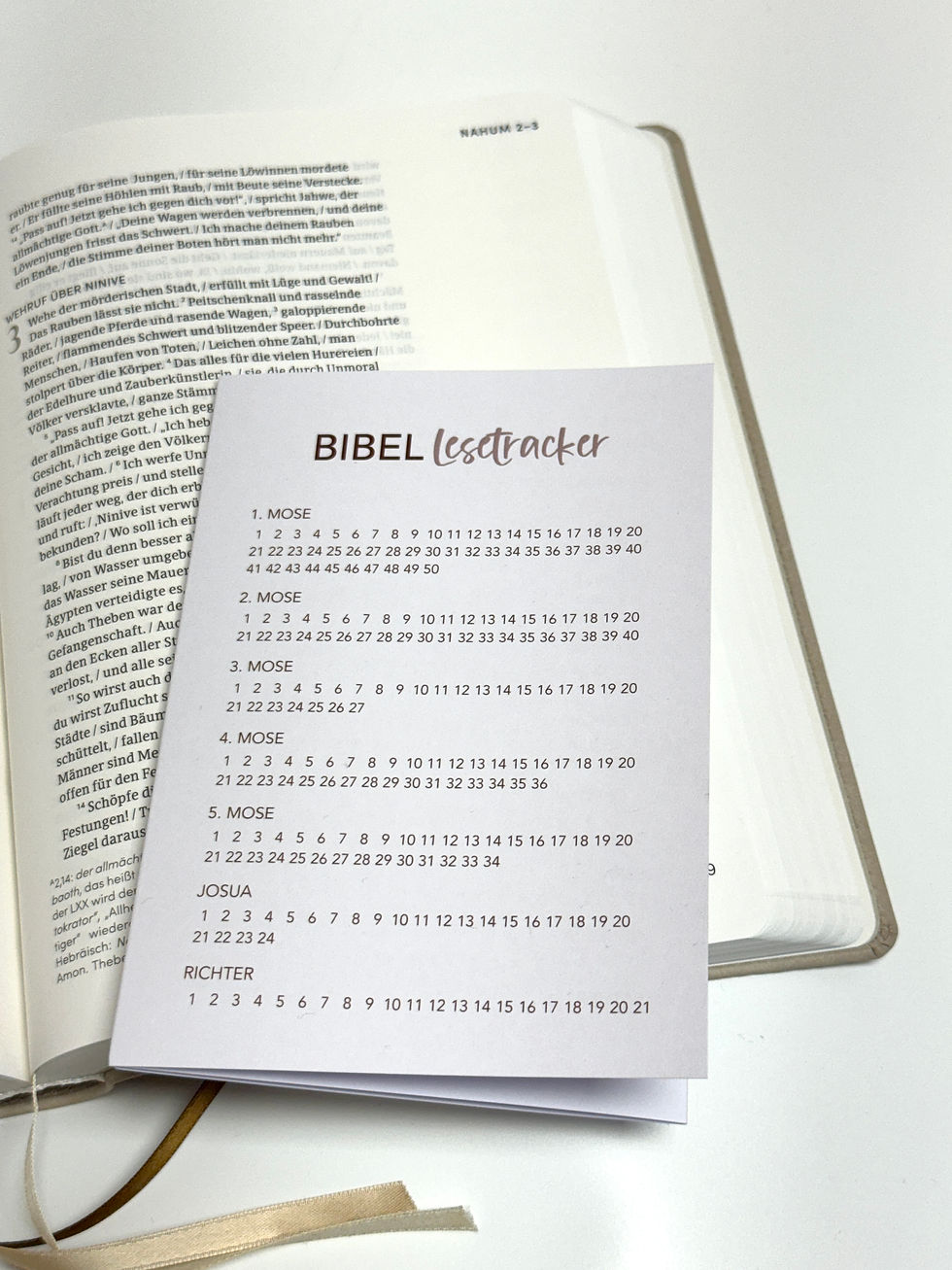 Miniaturbild: Bibel Lesetracker