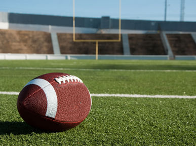 Are the Chicago Bears Really Moving to Indiana?