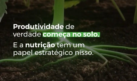 O papel estratégico da nutrição inteligente na produtividade.