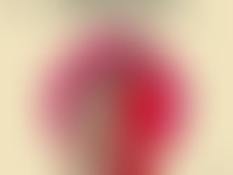 La Educación como Puerta a la Valentía y al Liderazgo.