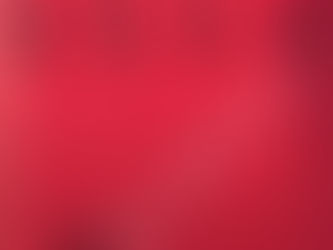 ¿Deberíamos avanzar hacia una cuota del 50% de participación femenina en las organizaciones?