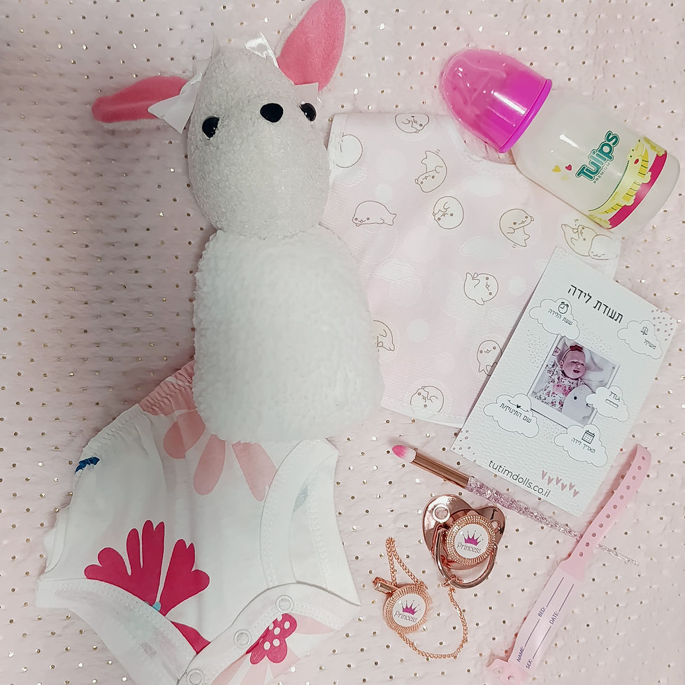 תמונה ממוזערת: סט אביזרים של תינוק אמיתי ריבורן