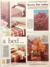 Vintage Advertisement for woollen blankets made in Australia.jpeg