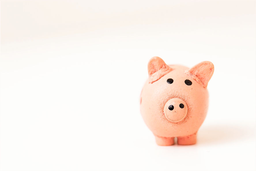 Cute piggy bank_edited.jpg