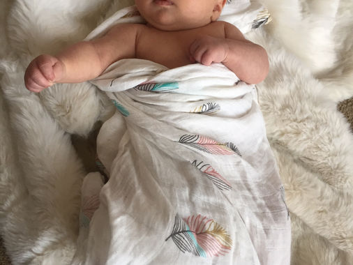 New Wildlifer in Town: Eloise