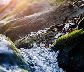 AdobeStock_325948224.jpeg