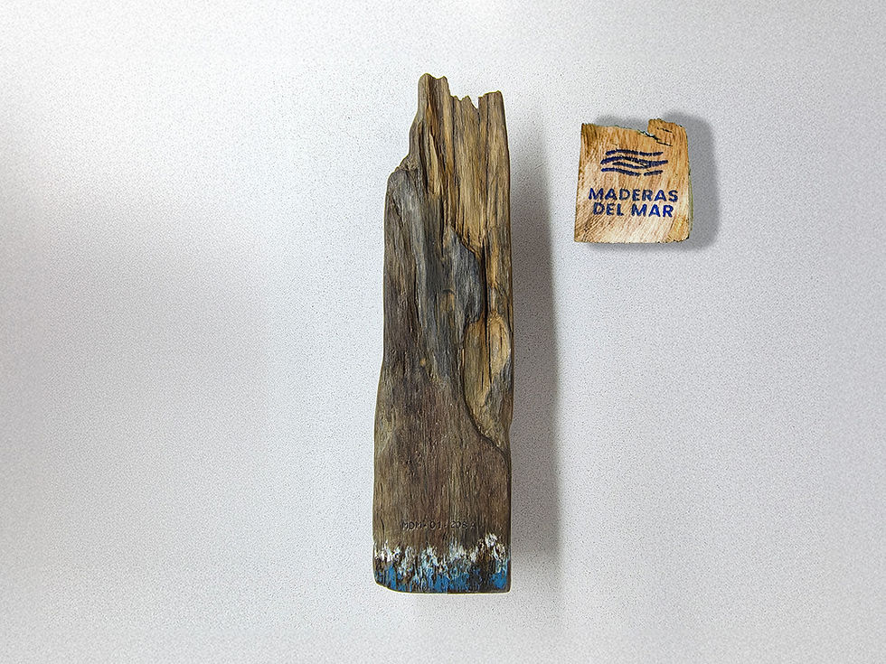 Miniatura: Faro 1