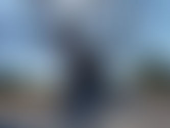 The Lion &  Elephant