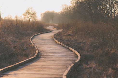 path-1839000.jpg