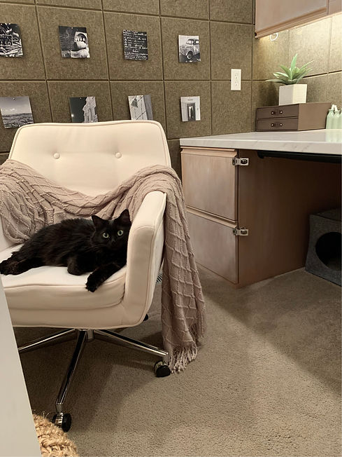 Kitty Co-Therapist.jpg