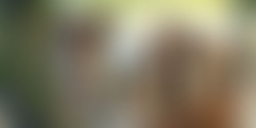 Entertaining + Hosting = Ministering