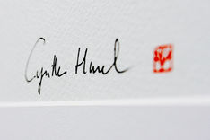 Taureau Aubrac N&B Signature©Kyrilløs