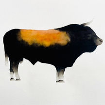 Taureau AUBRAC