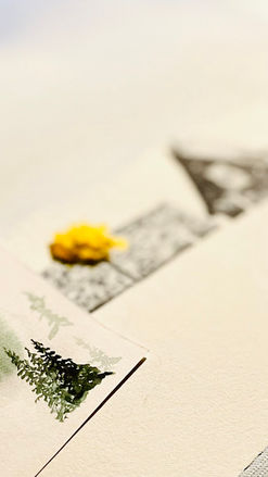 Automne