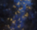 fundo2_edited.jpg