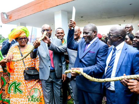 ALL KASSAVA FESTIVAL INTERNATIONAL DU MANIOC, LES LARVES D'UNE GROSSE INDUSTRIE DANS LA CHAÎNE DE VALEUR DE LA FILIÈRE MANIOC SONT APPARUS.