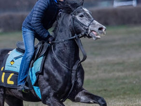 Race training