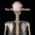 shouldler blades, scapula, scapulae