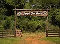 angeltano-signboard
