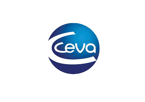 ceva_edited.jpg
