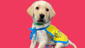 ESG with a Heart and Purpose: Interview with Marina MacDonald, CMO, Red Roof