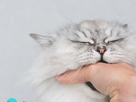 It's OK to Dislike People, REALLY