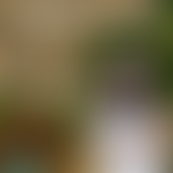 Herstory: Brigette Bienvenu on Bold Career Moves, Mentorship and Putting Tampa on the Luxury Map