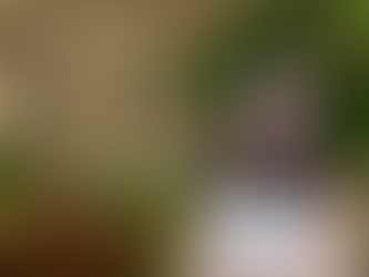 Herstory: Brigette Bienvenu on Bold Career Moves, Mentorship and Putting Tampa on the Luxury Map