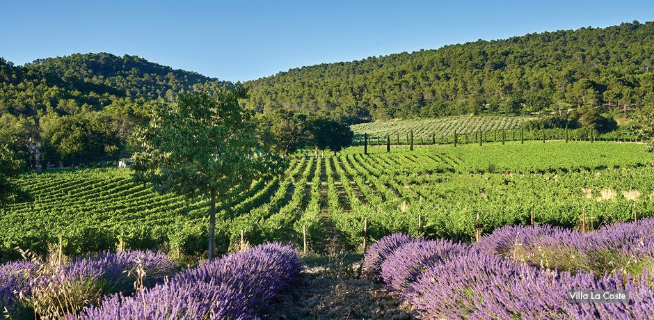 Villa La Coste, Provence