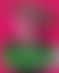 Exchange LA | Insomniac events & Tickets (NOV 14 & 15)