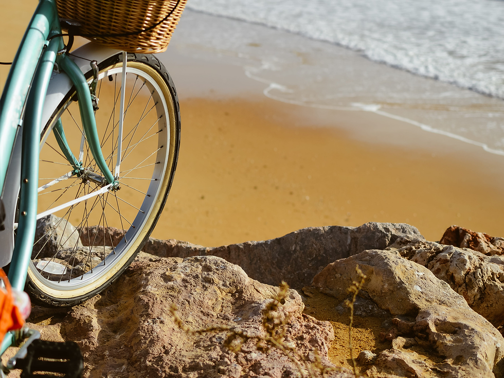 Bike2.png