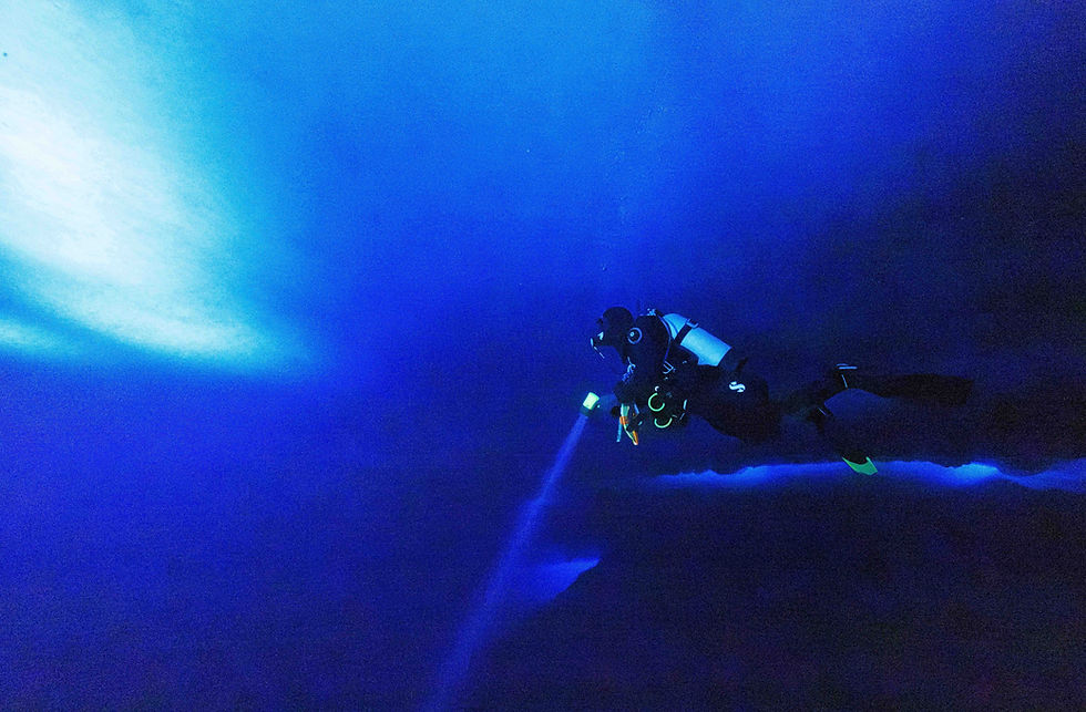 Under the ice. Thank you Andrew for the great picture!