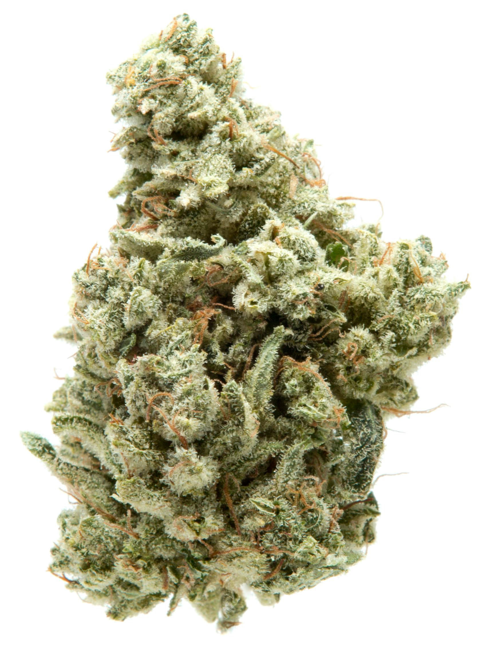 Gorilla Glue#4  (1oz)