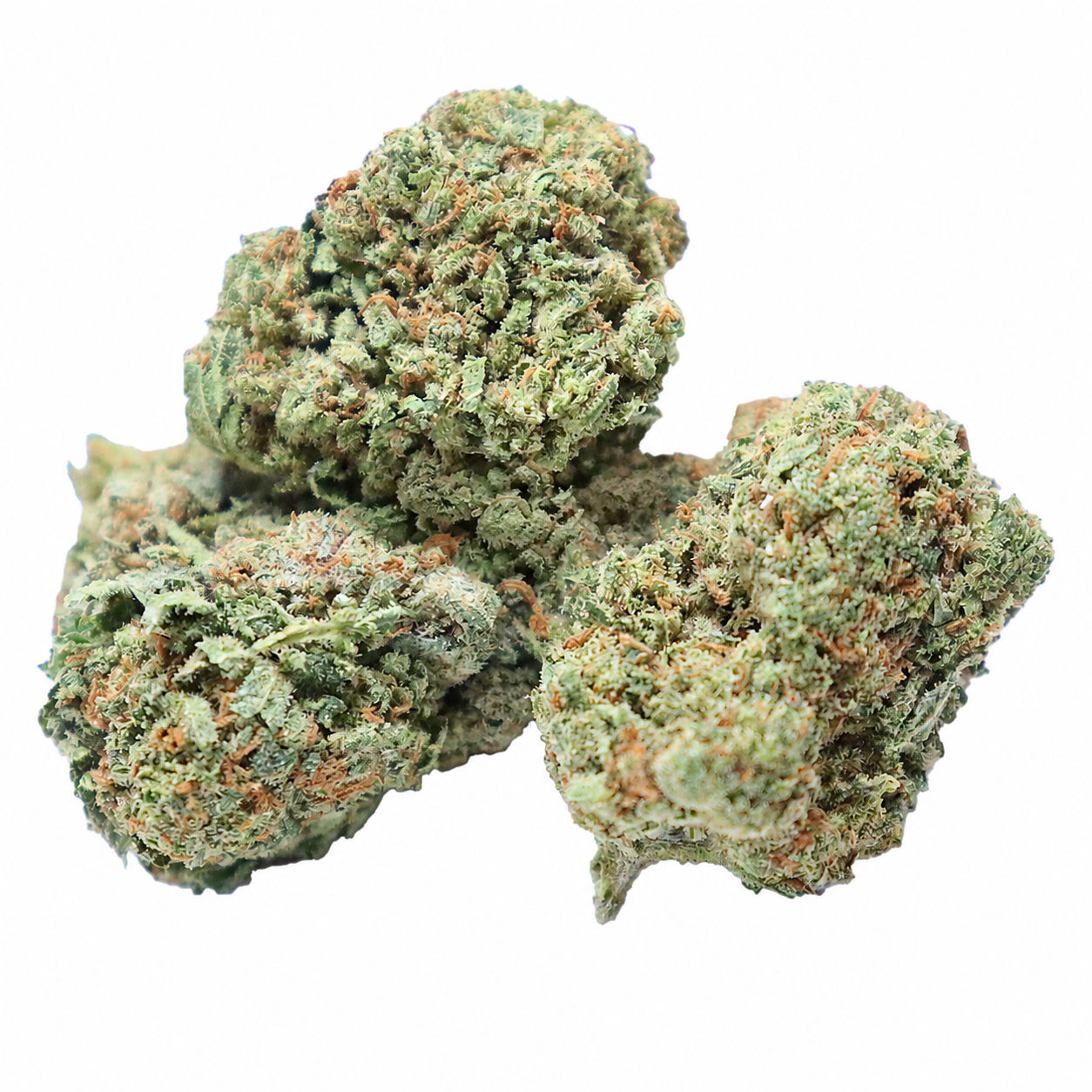 Blue Gelato (Oz)