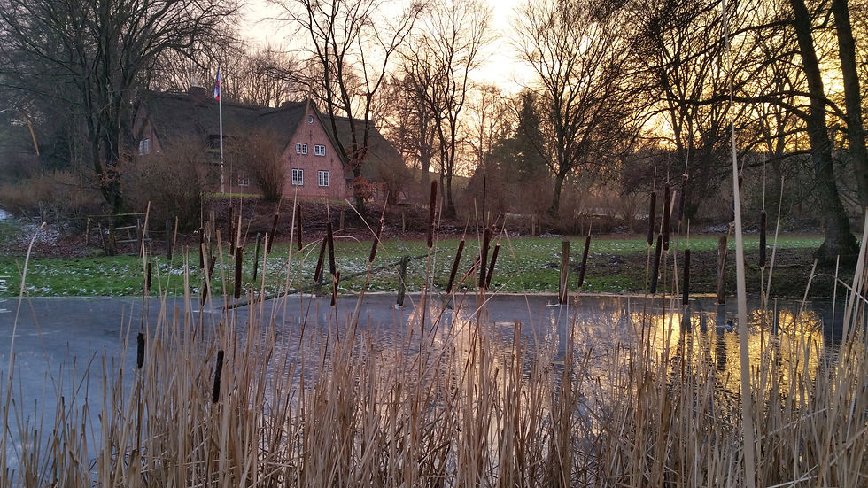 20160110_160110.jpg