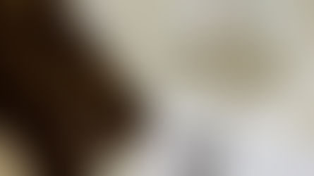 持有成本这么高的黄金签证,值不值得要?