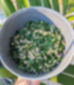Tabouleh